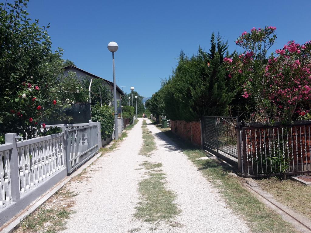 Apartman Nin-Dodo Esterno foto